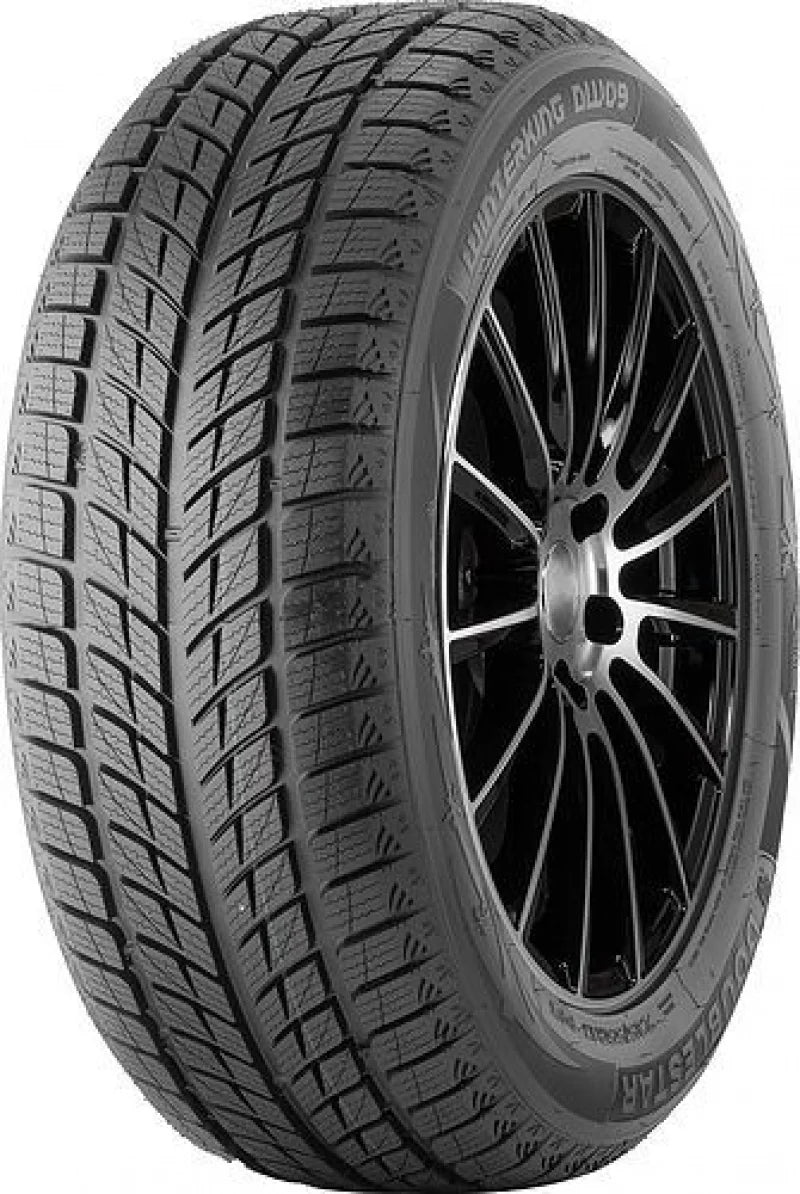 Doublestar Double Star DW09 245/40-18