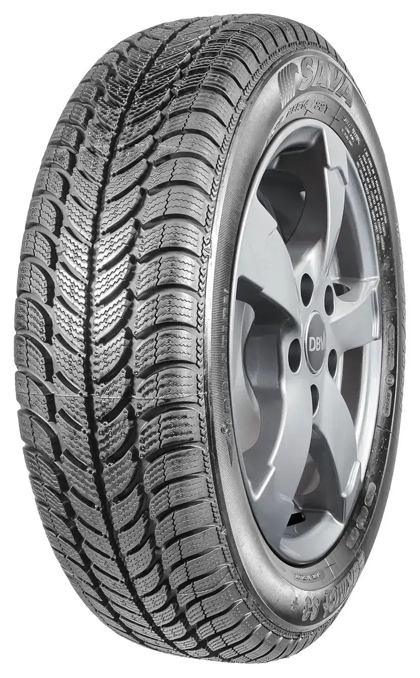 Sava Eskimo S3 + MS 205/55-16