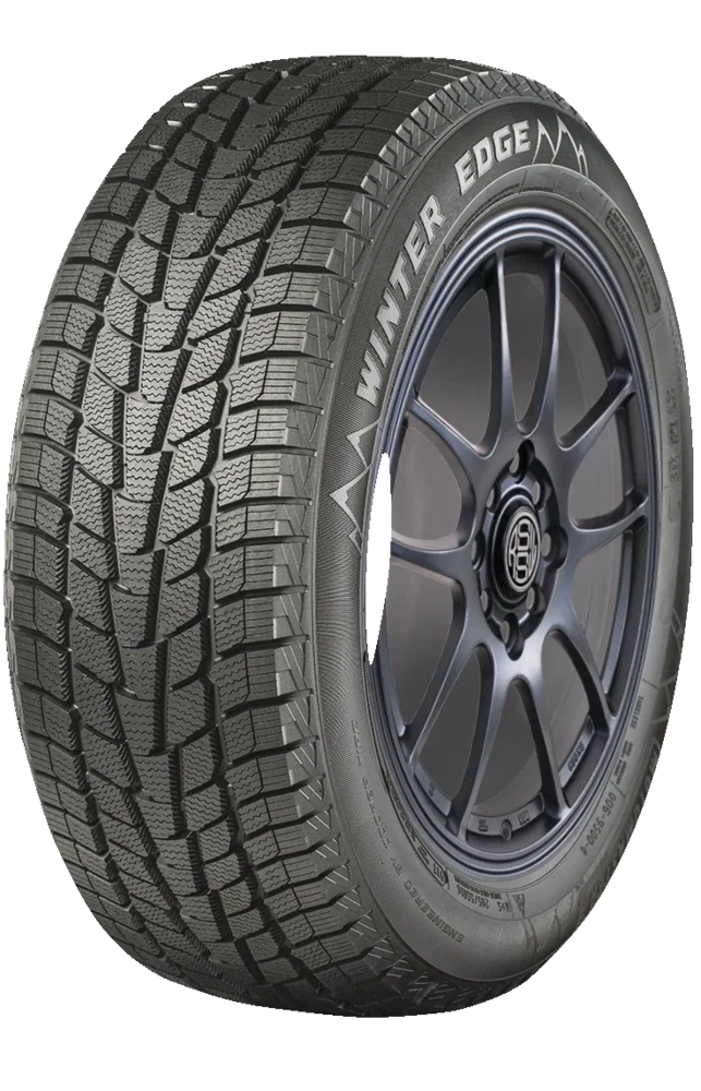 Motomaster Winter Edge 2 225/40-18